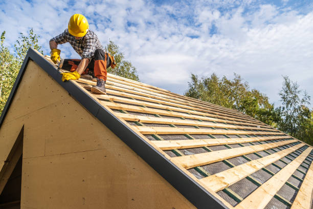 Best Roof Waterproofing Services  in Martins Ferry, OH