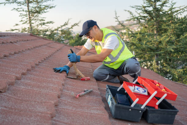 Best Storm Damage Roof Repair  in Martins Ferry, OH